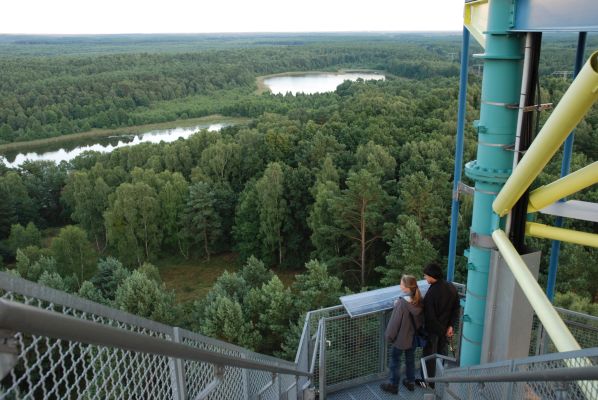 Käflingsberg-Turm mit Blick auf Zillmannseen (Foto: NP Müritz / Ulrich Meßner)